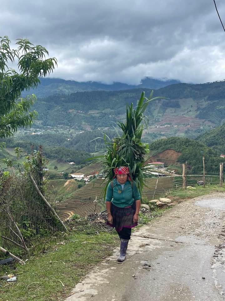 Northwest Vietnam Cycle Trip Sapa to Hanoi 7 Days